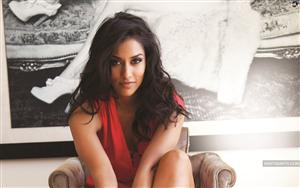 American beauty Janina Gavankar can kill with her piercing eyes